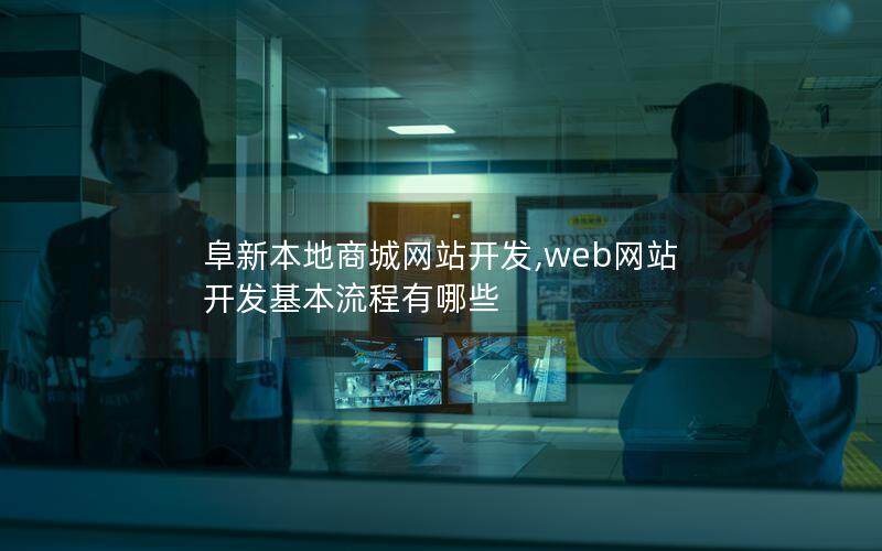 阜新本地商城网站开发,web网站开发基本流程有哪些