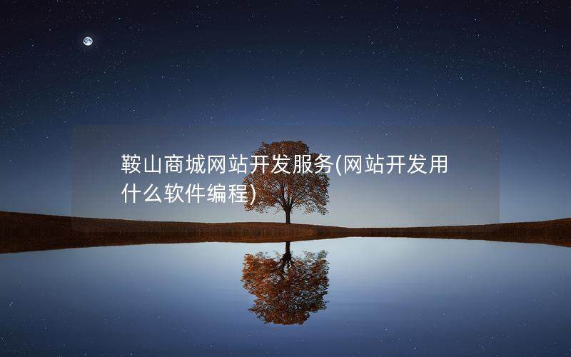 鞍山商城网站开发服务(网站开发用什么软件编程)