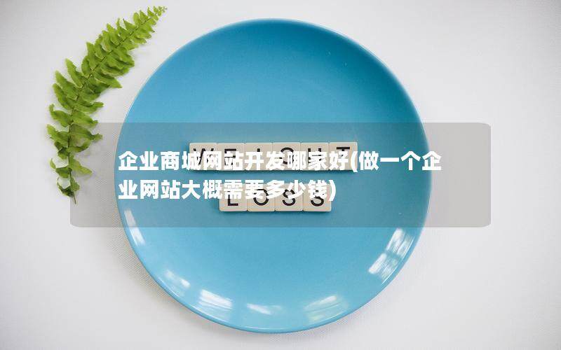 企业商城网站开发哪家好(做一个企业网站大概需要多少钱)
