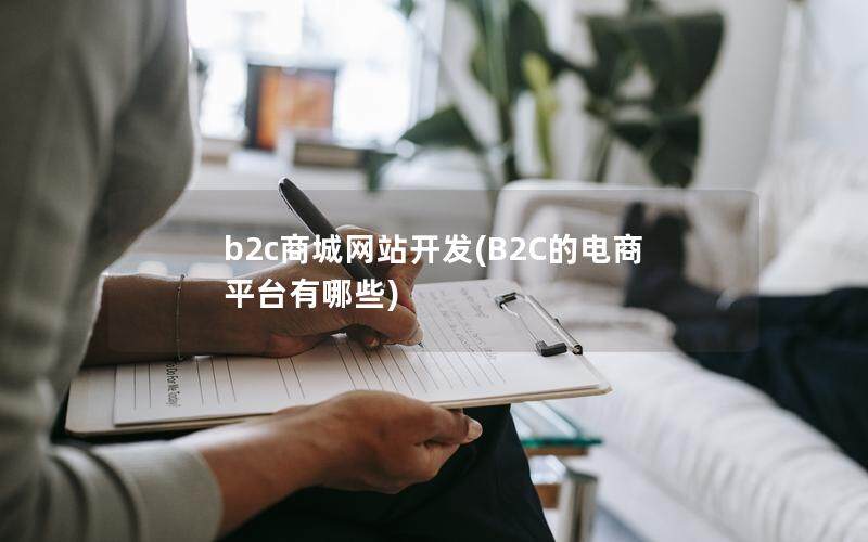 b2c商城网站开发(B2C的电商平台有哪些)