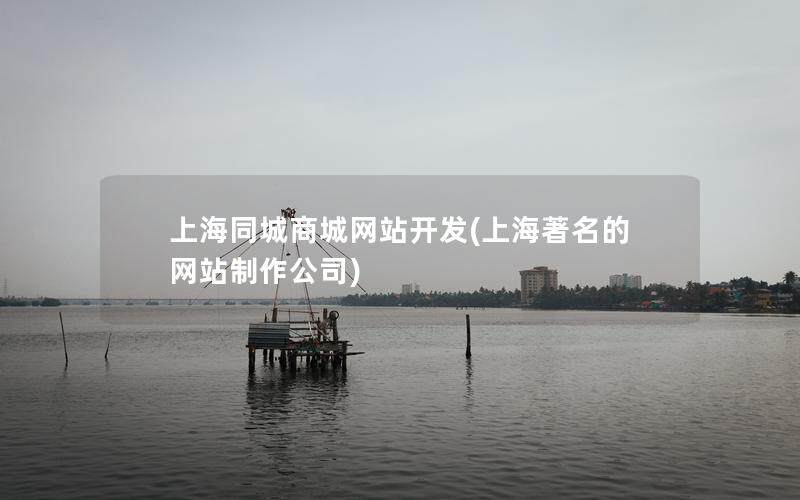 上海同城商城网站开发(上海著名的网站制作公司)